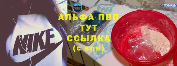 гашик Богородск
