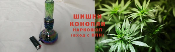 spice Богородицк
