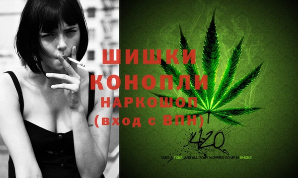 гашик Богородск
