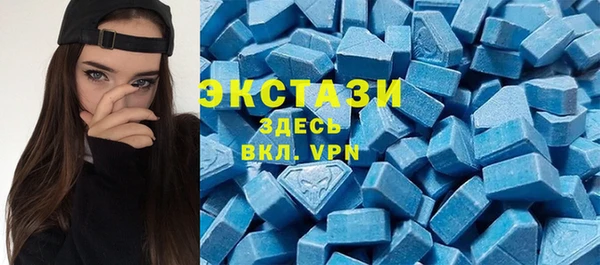 spice Богородицк