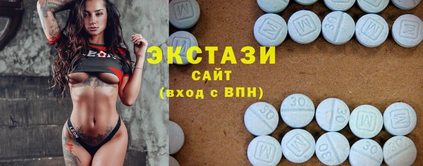 spice Богородицк
