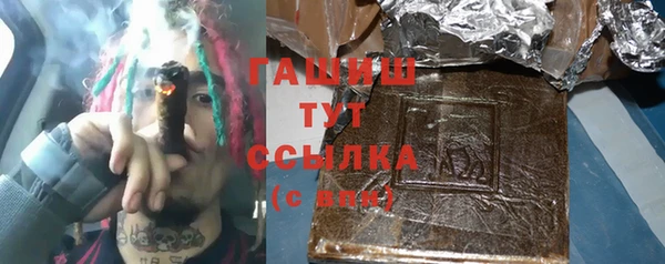 spice Богородицк