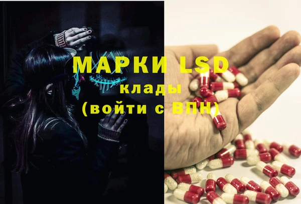 гашик Богородск