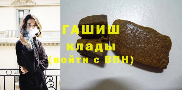 spice Богородицк