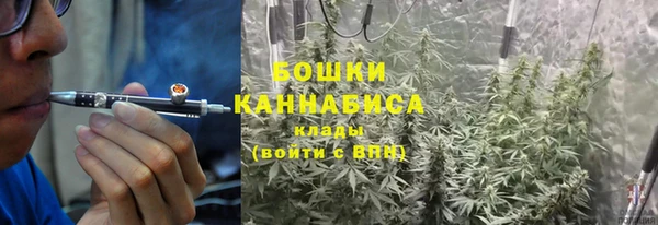 гашик Богородск