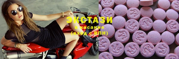 spice Богородицк