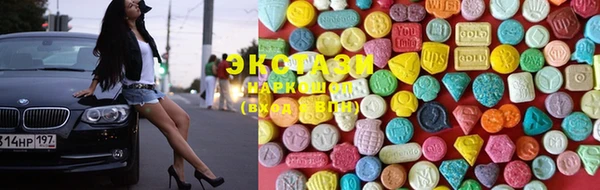 spice Богородицк