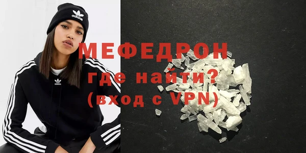 spice Богородицк