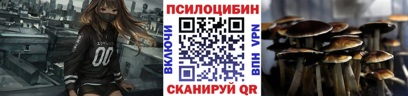blacksprut маркетплейс  закладки  Йошкар-Ола  Галлюциногенные грибы мицелий 